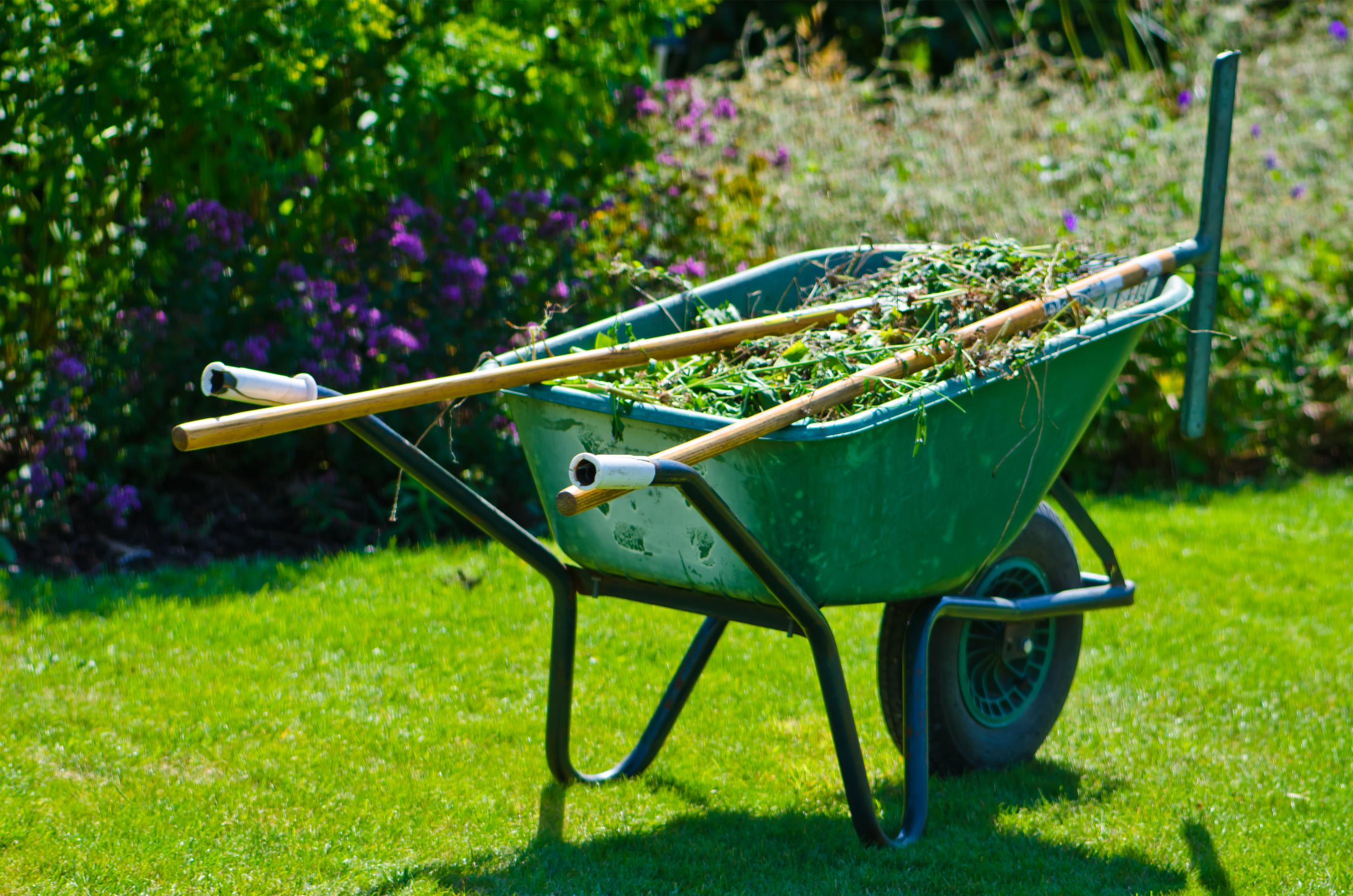 Landscaping dumpster rental for big yard cleanups Roll-off dumpster for a large yard cleanup project in Alamosa, CO